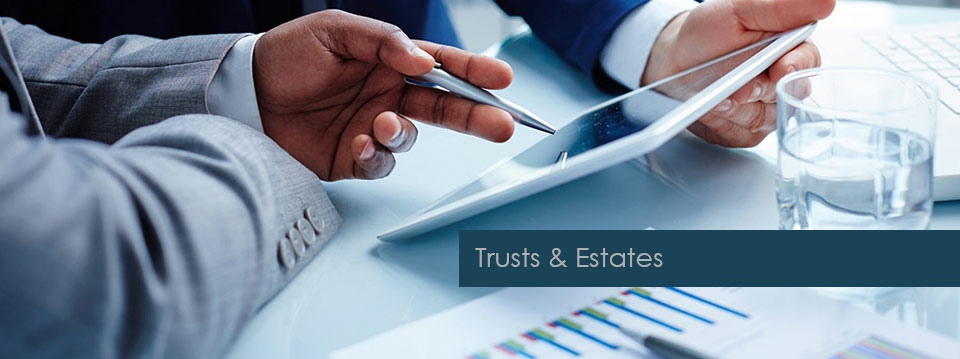 Hans du Plessis Accountants Incorporated | Trusts and Estates Services